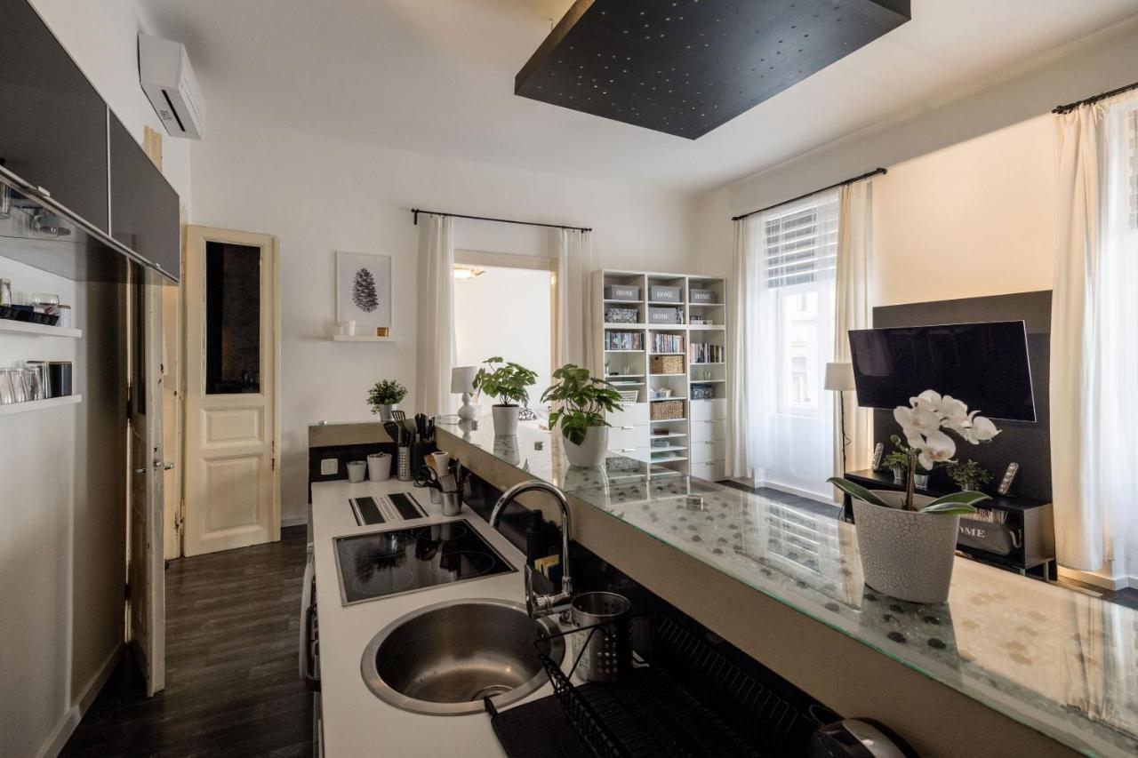 Spacious Apartment Almassy Budapest Eksteriør billede